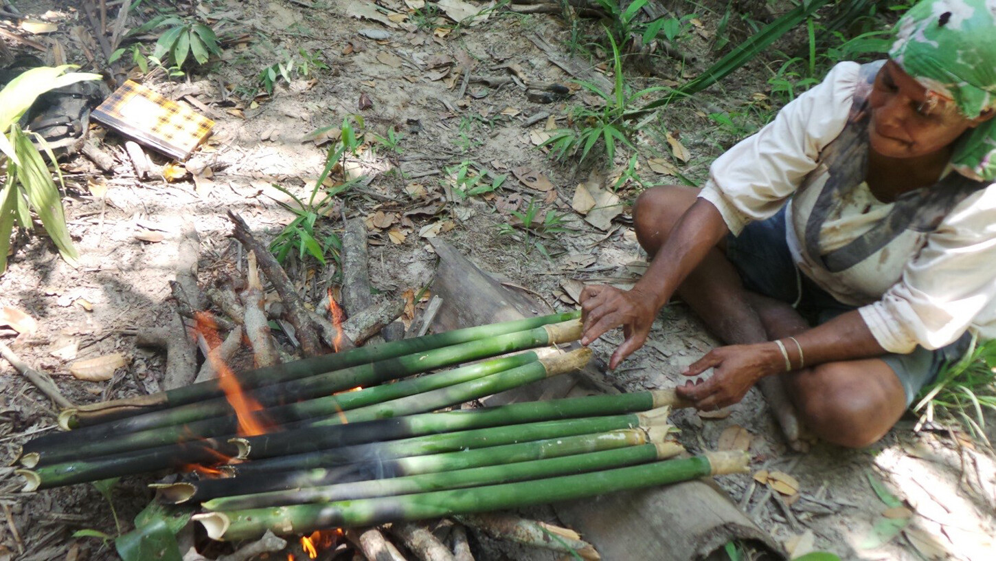 Forest Foodways In West Papua Journal 128 June 22 E Flux