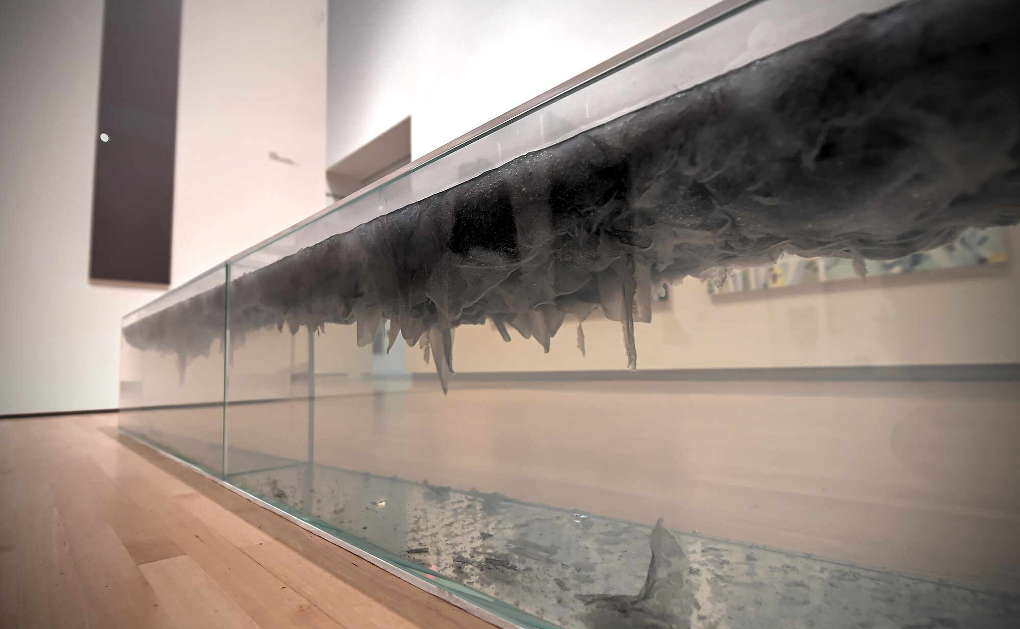 Mfa online fine art picture