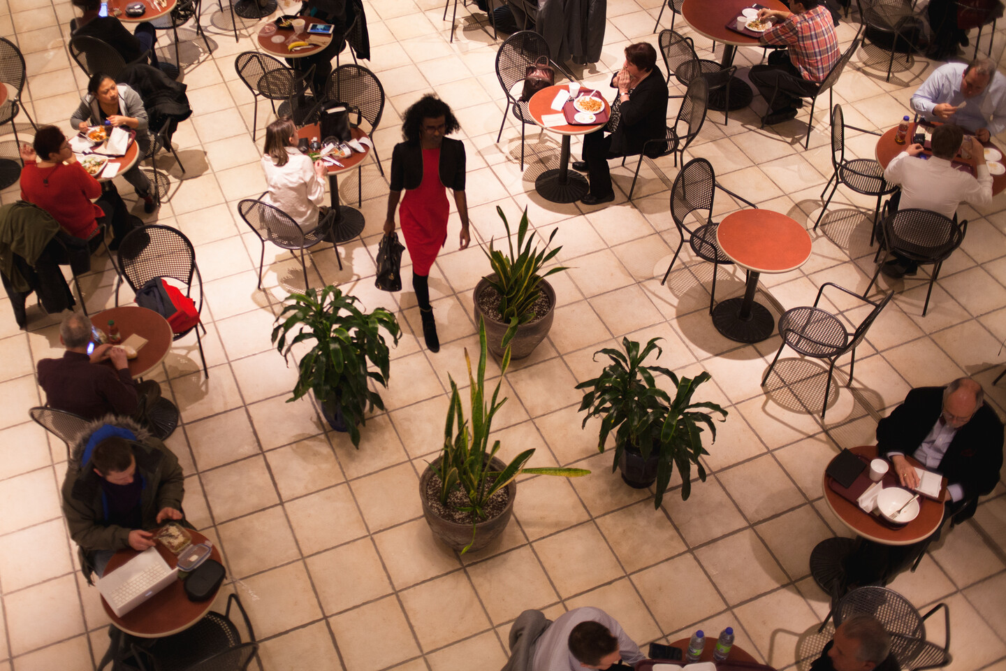 Our Own Words Fem Trans Past Future Journal 117 April 21 E Flux