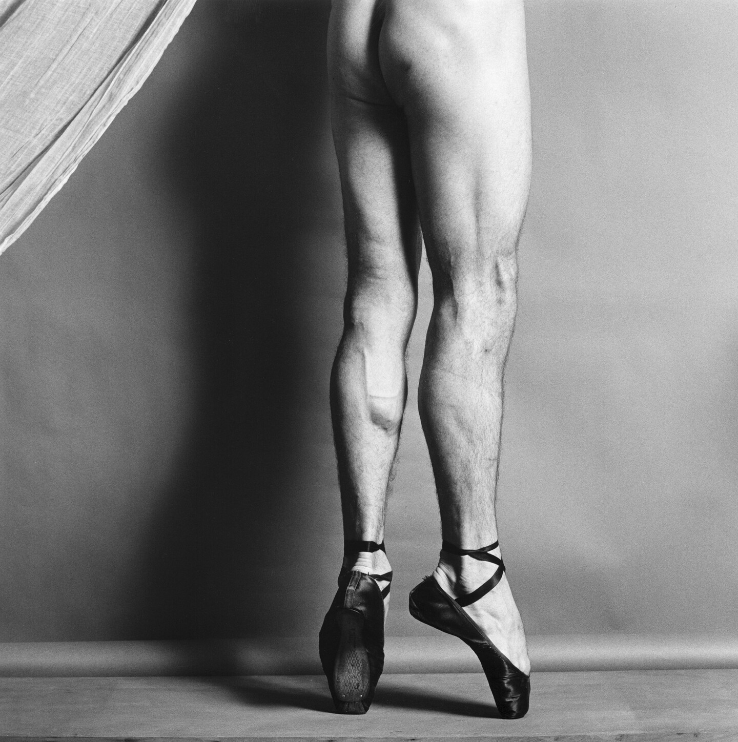 Resultado de imagen de mapplethorpe