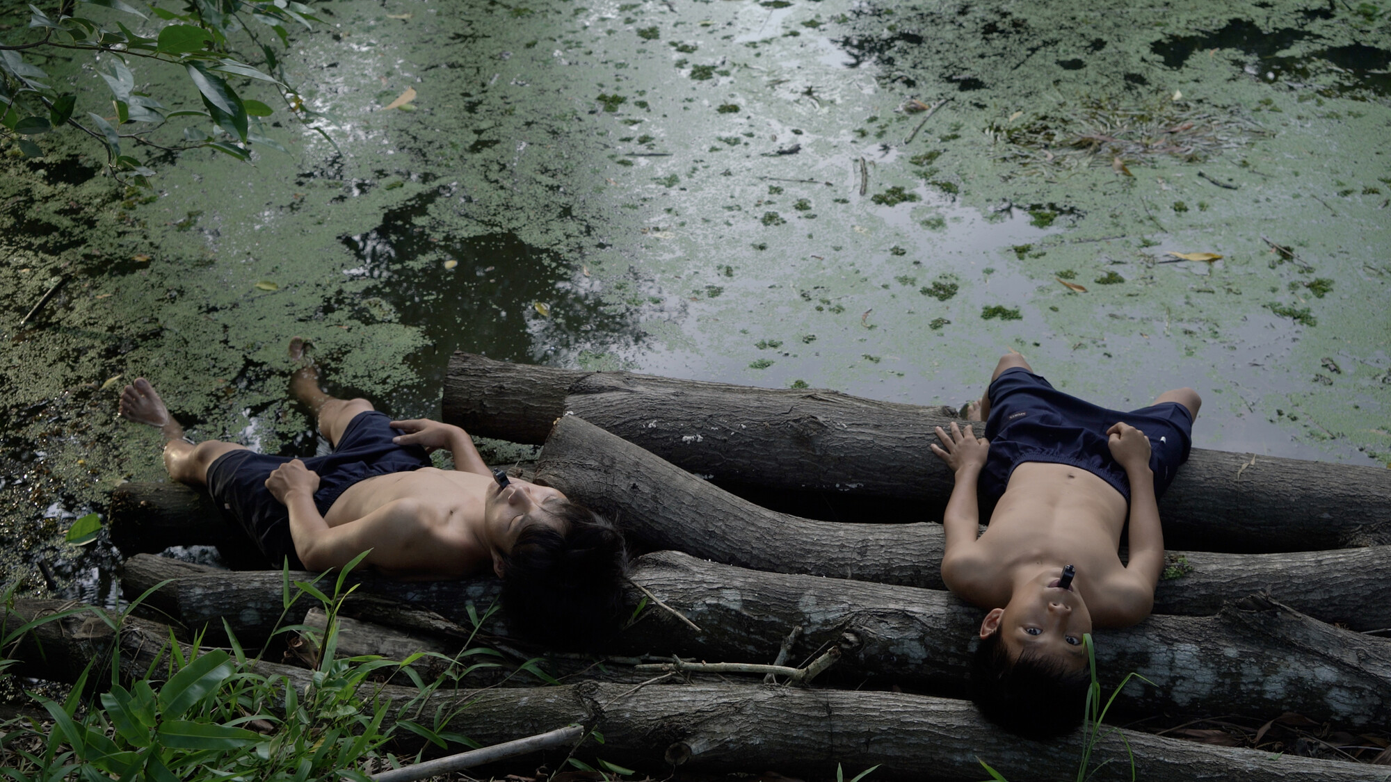 Thao Nguyen Phan Becoming Alluvium Announcements e flux Thao Nguyen Phan Becoming Alluvium Announcements e flux