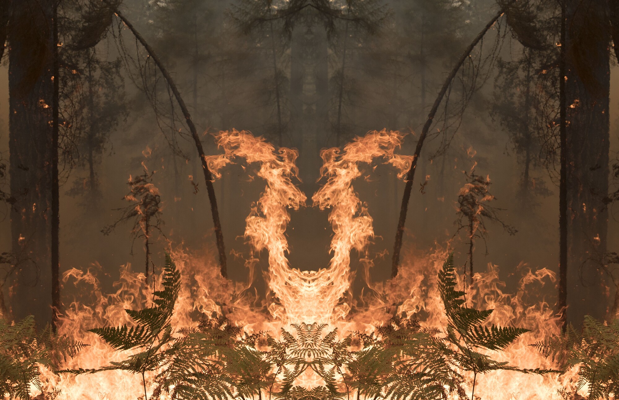 Julius von Bismarck Fire with Fire Announcements eflux