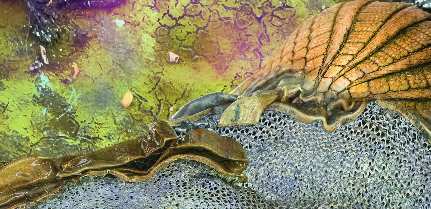 Announcements E Flux