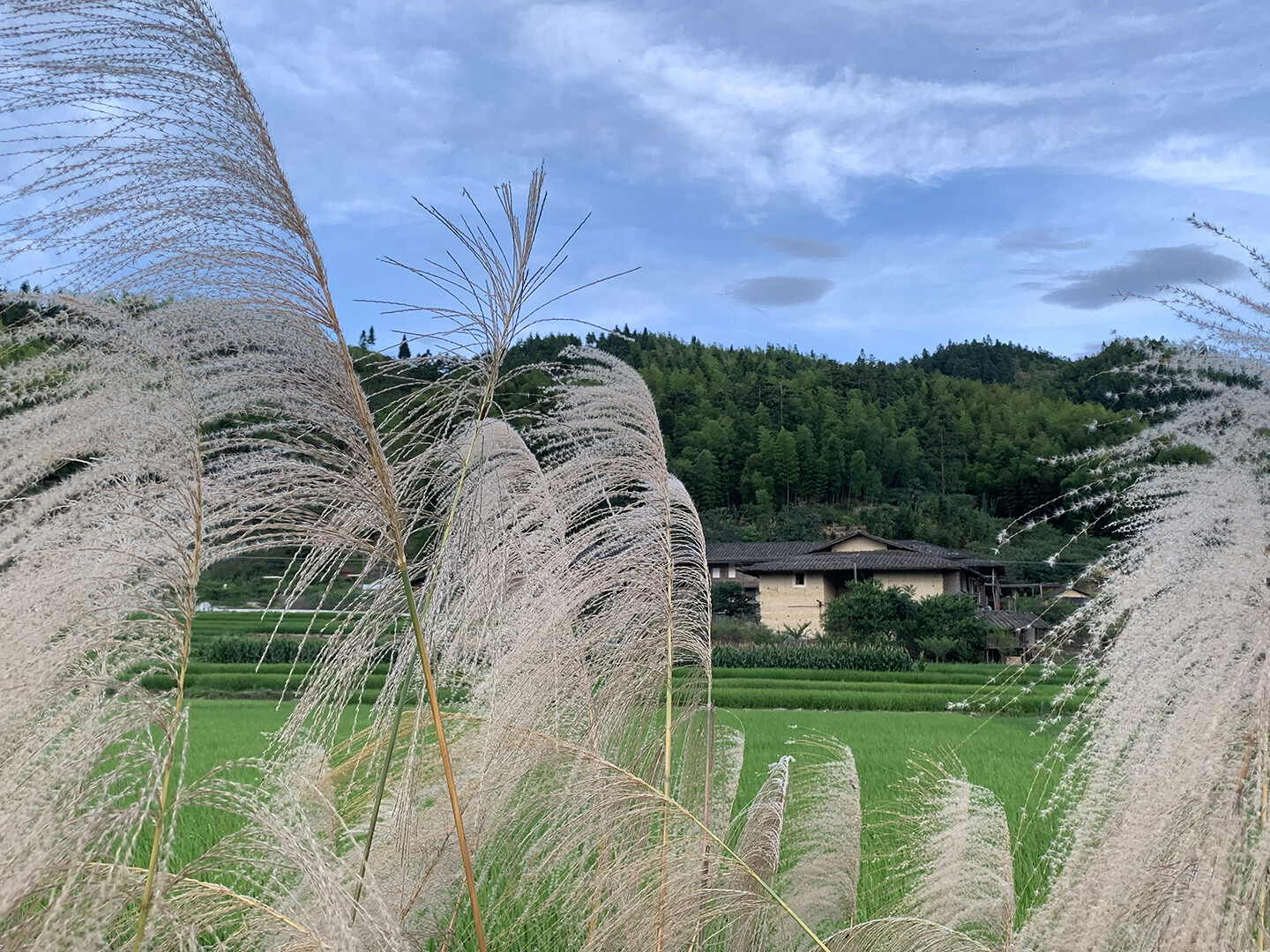 Exhibitions St. Joost School of Fine Art & Design Master Institute of