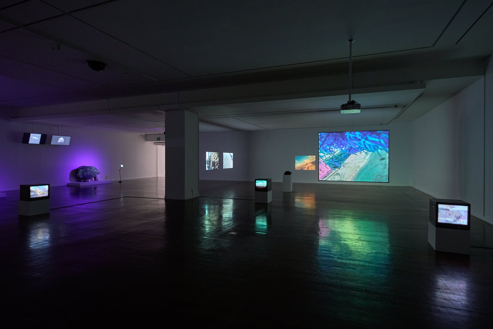 sanghee song: Homo Natura - Announcements - e-flux