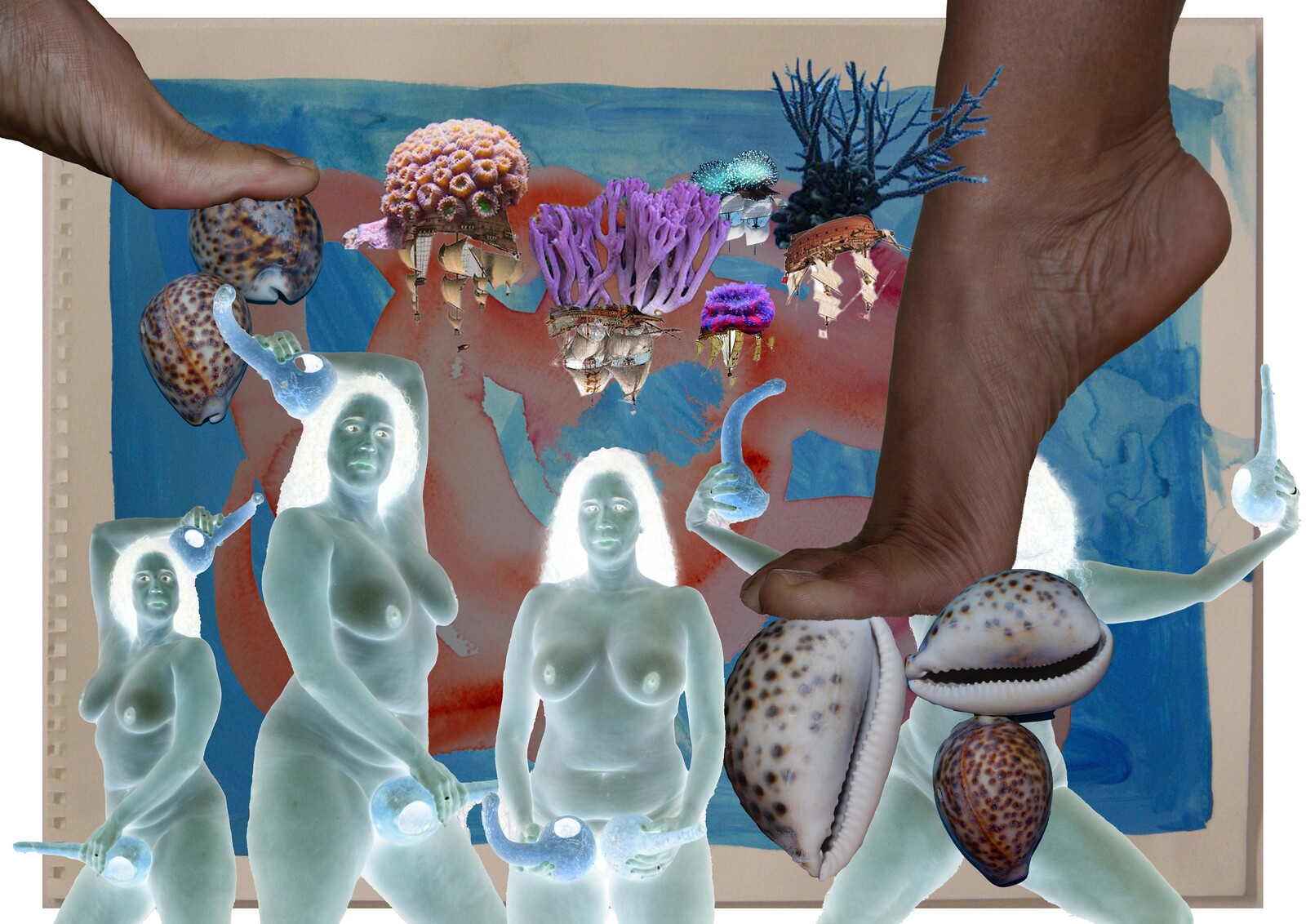 Sex Ecologies Announcements e flux 