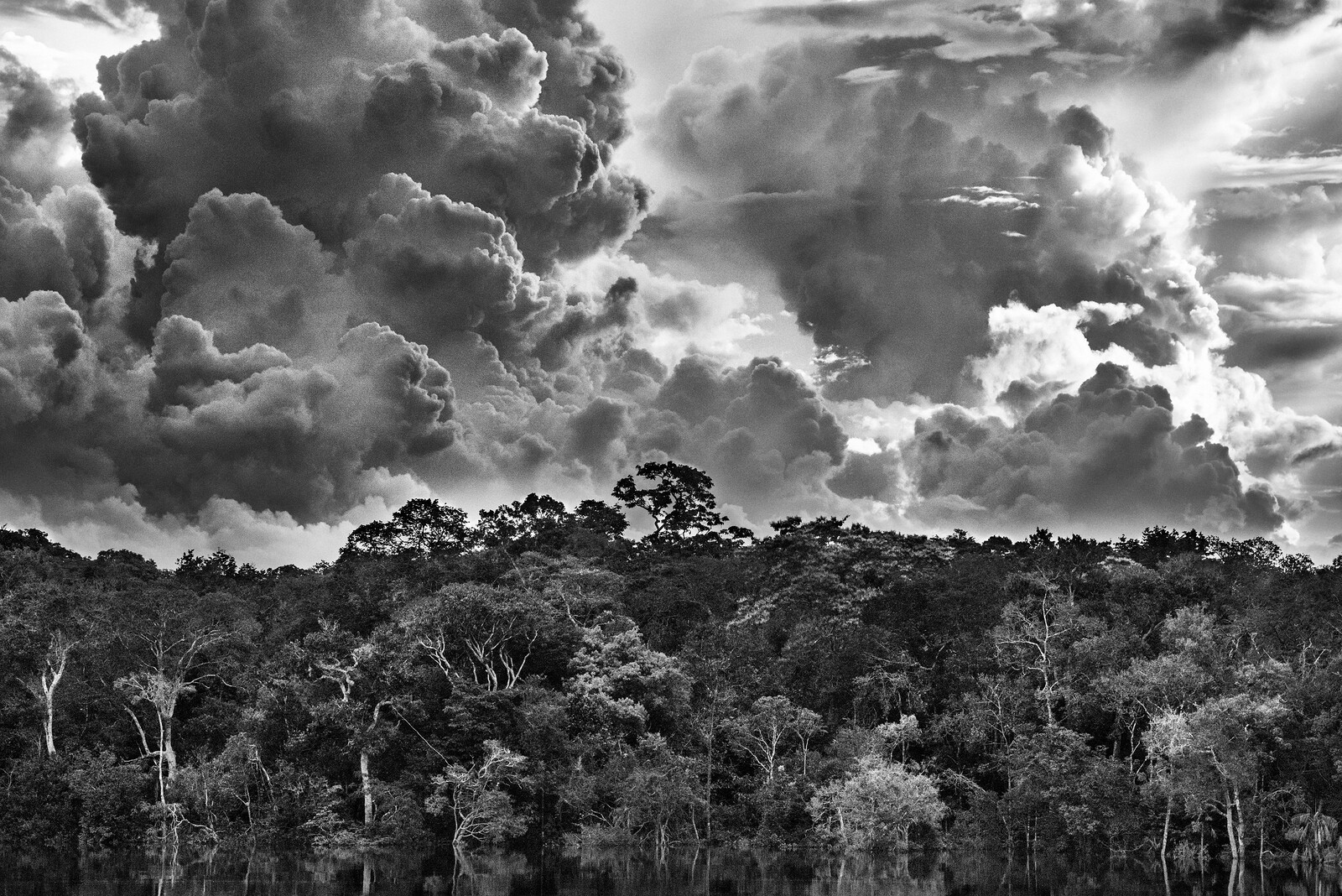 Sebastião Salgado: Amazônia - Announcements - e-flux