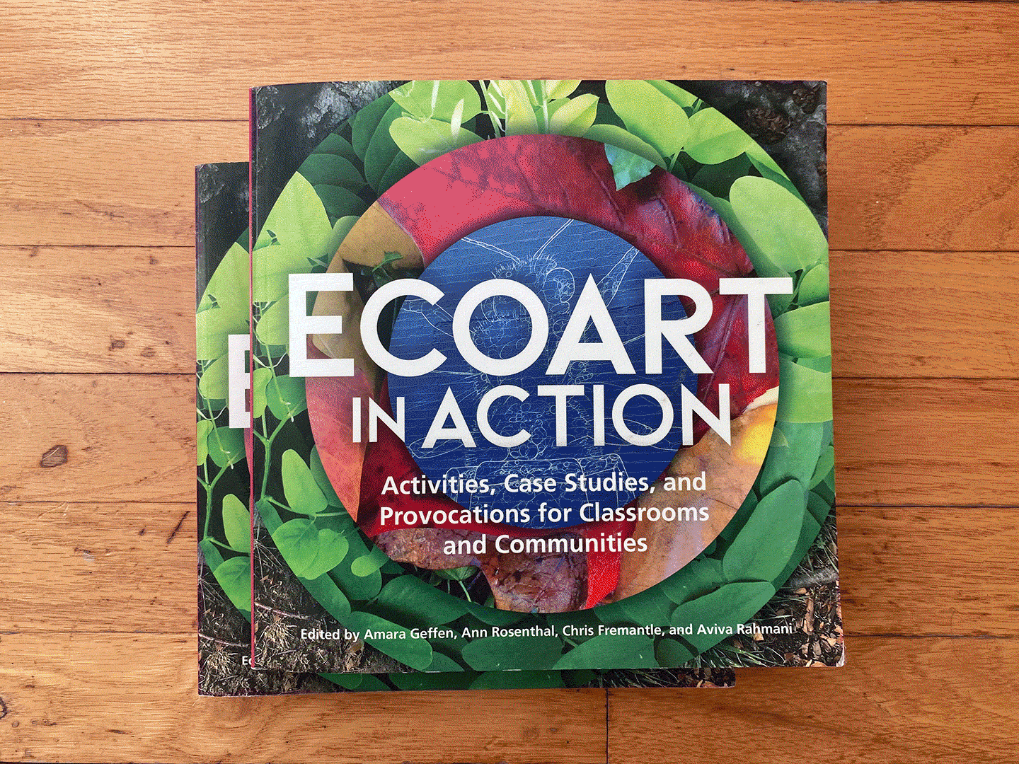 Ecoart in Action - e-flux Education