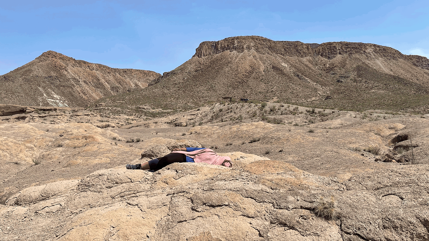 Tongues of Fire / Li(sa E.) Harris: unlit: sof landin - Announcements - Vimarsana News
