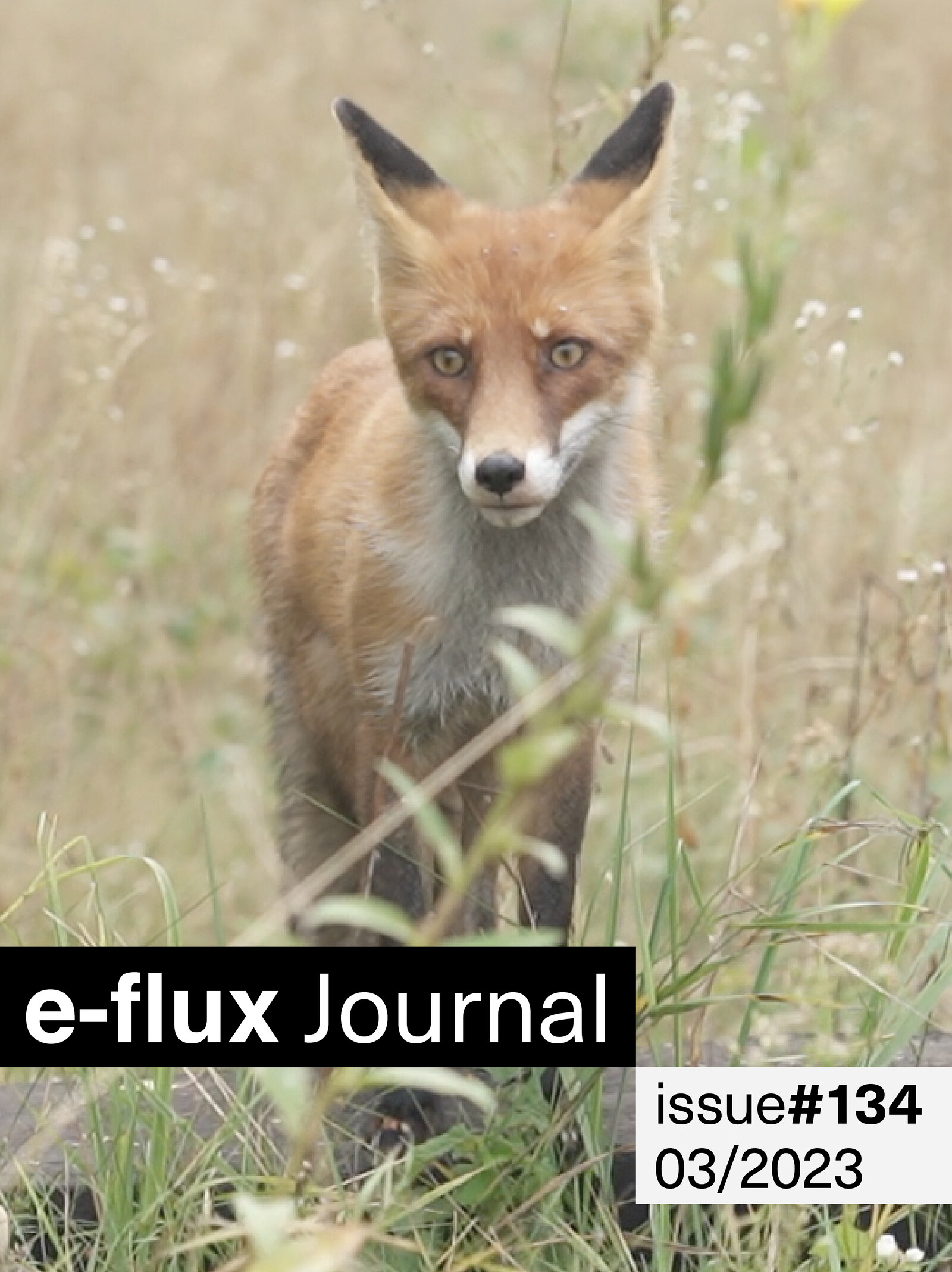 Announcements - e-flux