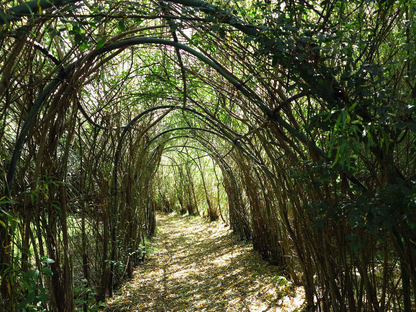 Jury for Glenkeen Garden Residencies - e-flux Education - Vimarsana News