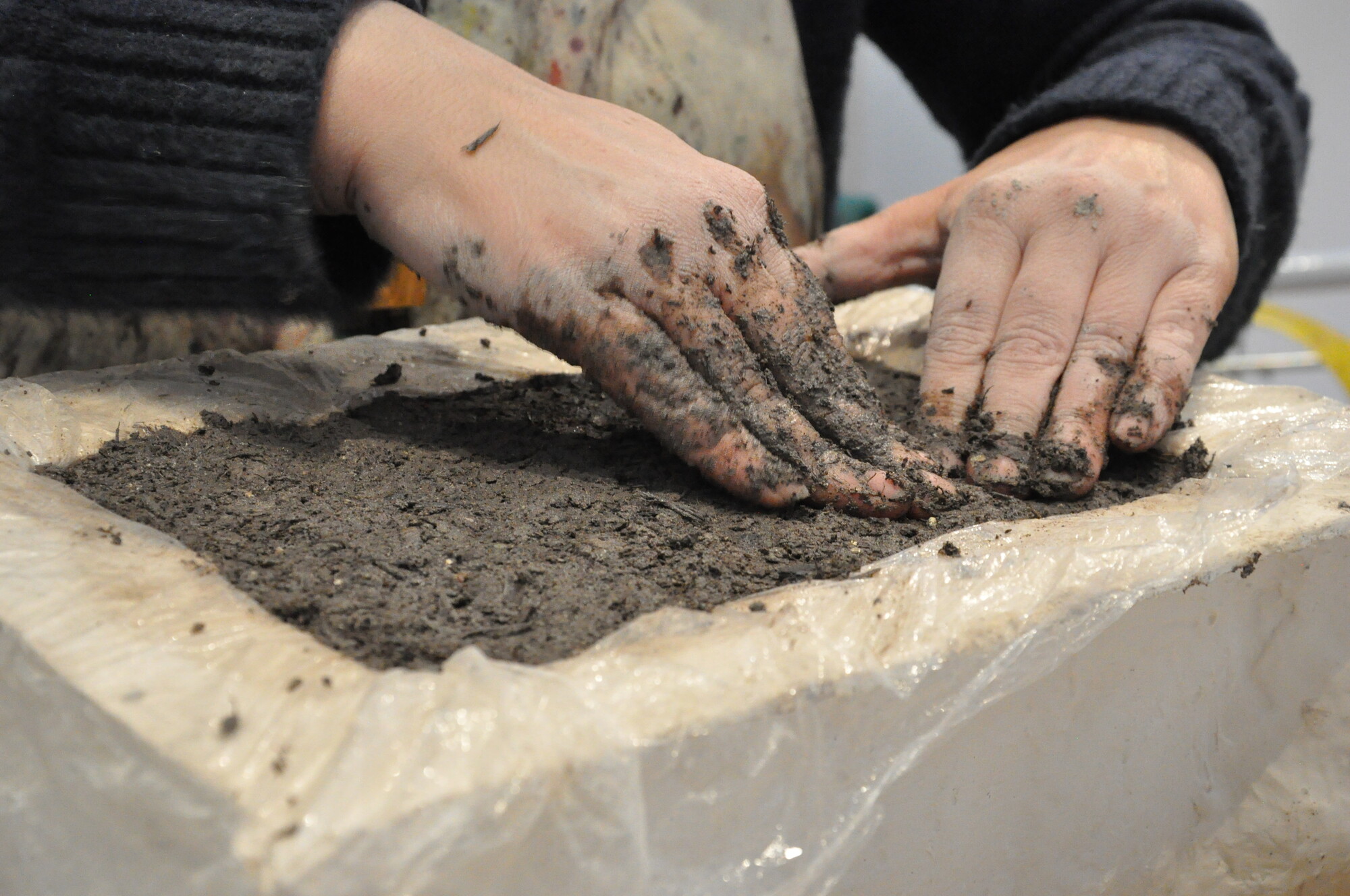 Cultural Reforesting - e-flux Agenda - Vimarsana News