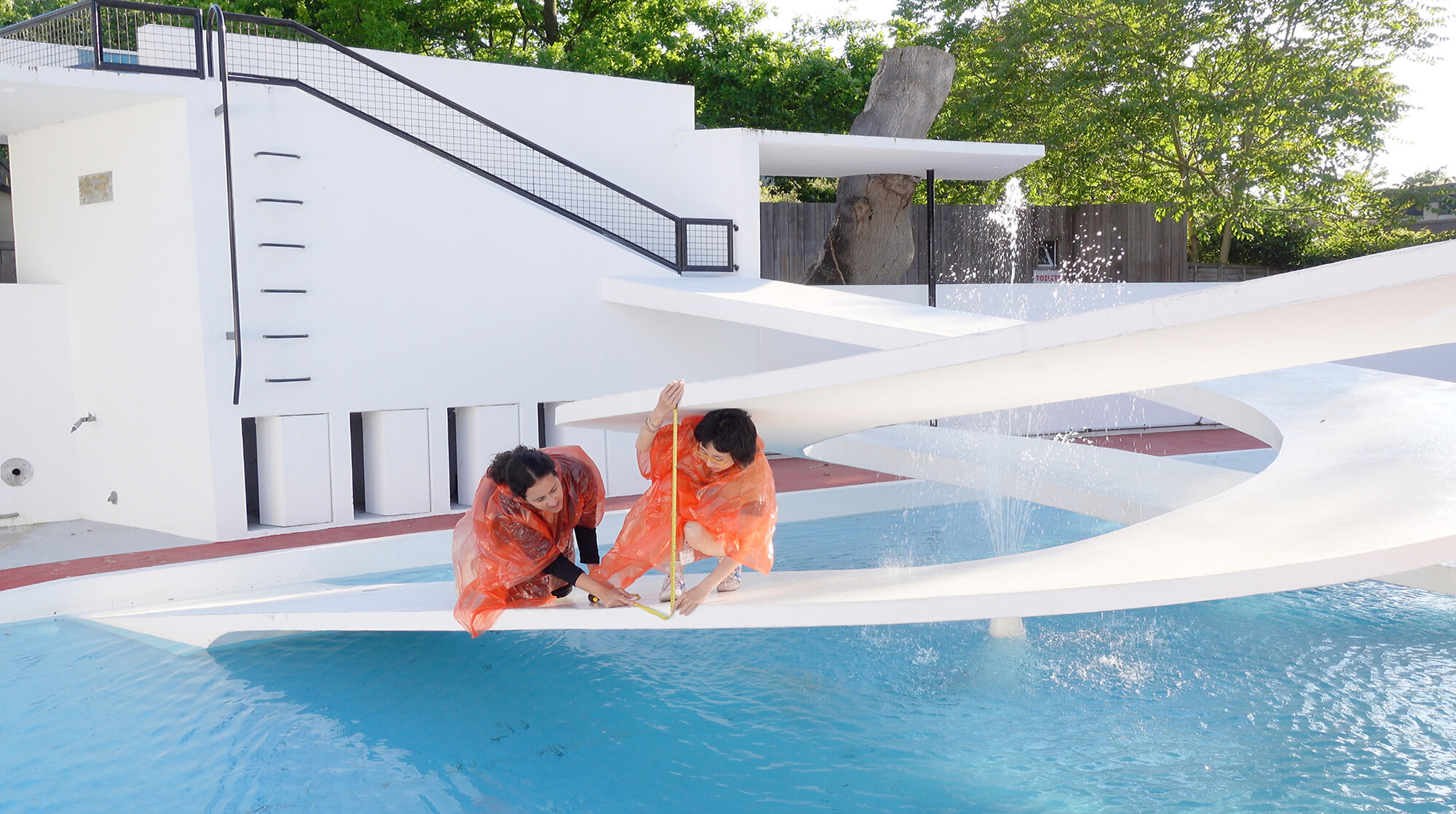 Not a Penguin Pool: Echoes of More-than-Human Entanglements - Announcements - Vimarsana News