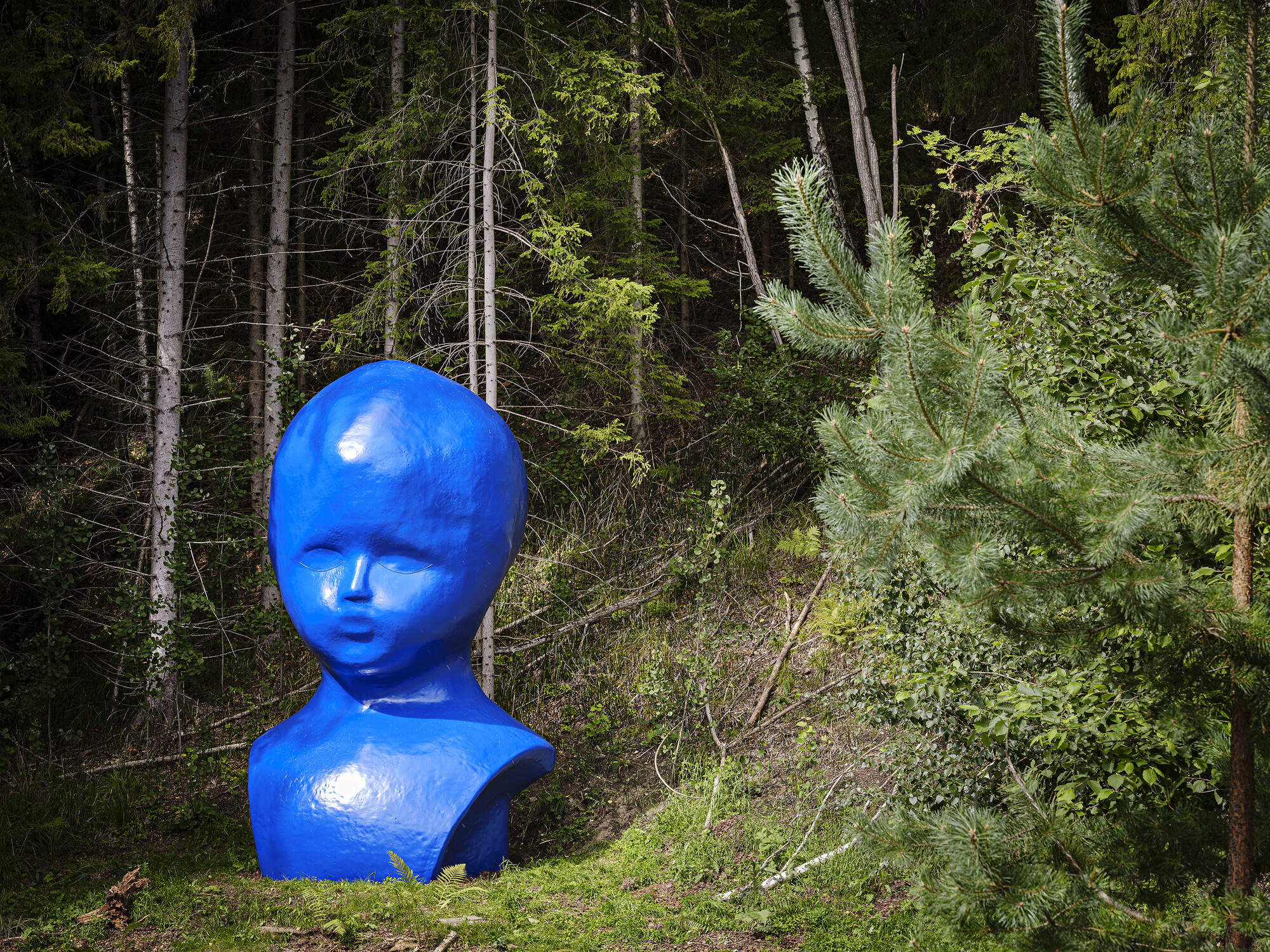 Unveiling of Blue by Marianne Heske - Announcements - Vimarsana News