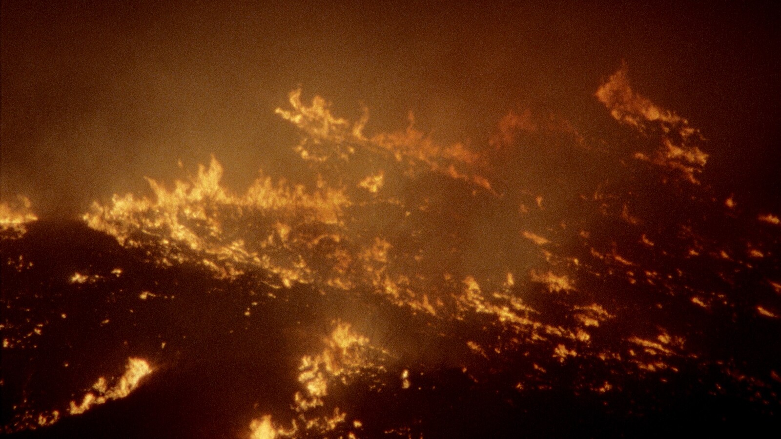 Bar Laika by e-flux Art of the Real Spotlights:<br />
Erika Balsom, “To Narrate or Describe?&nbsp;Experimental Documentary Beyond Docufiction”
