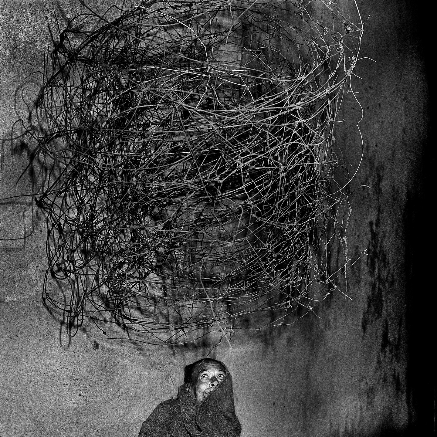 Roger Ballen: Retrospective - Announcements - e-flux