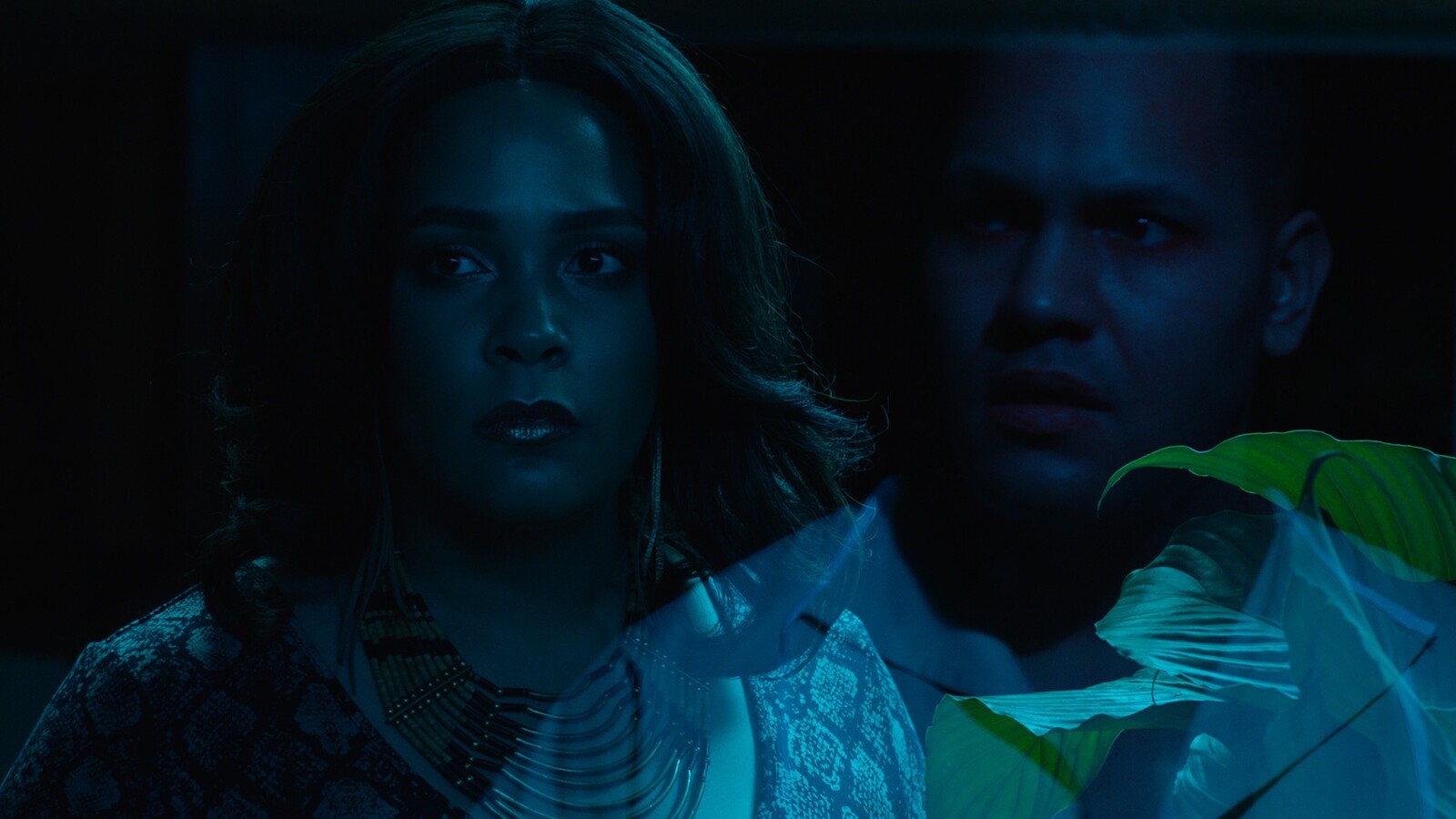 e-flux Charles Mudede, “Black Green Gothic: Visualizing the Afro Pacific Northwest”
