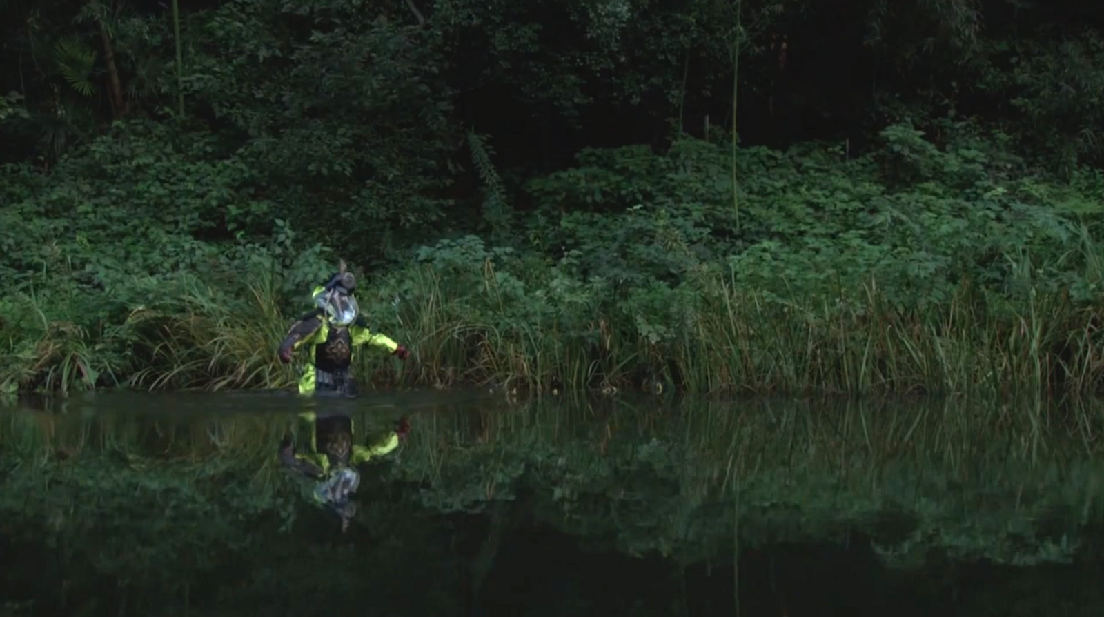 <em>Don't Follow the Wind</em>
