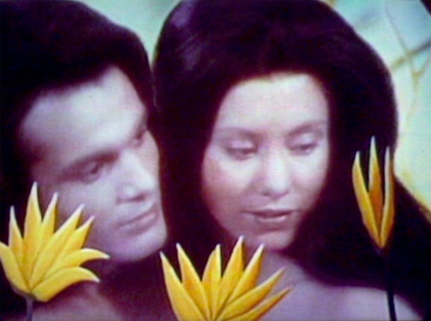 upcoming-screenings-announcements-e-flux