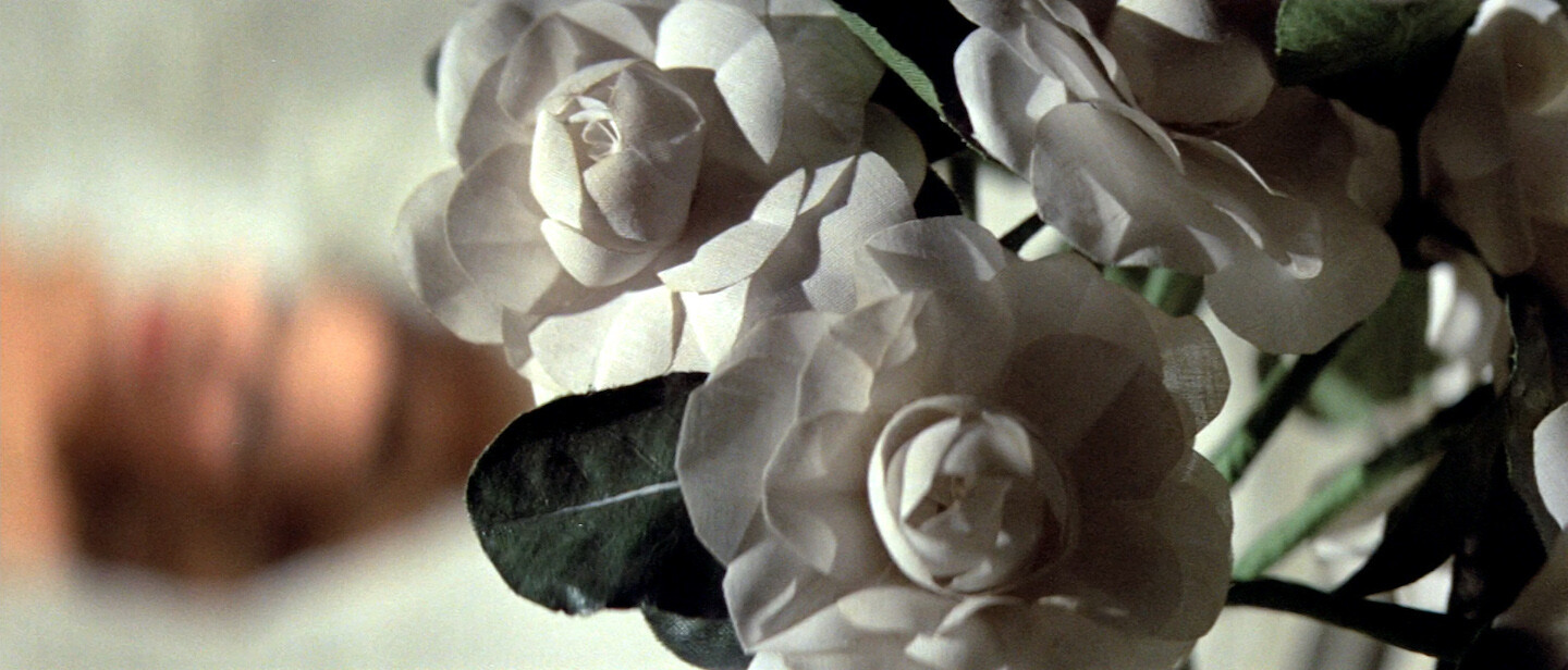 Bar Laika by e-flux Amie Siegel,&nbsp;<em>Genealogies</em>
