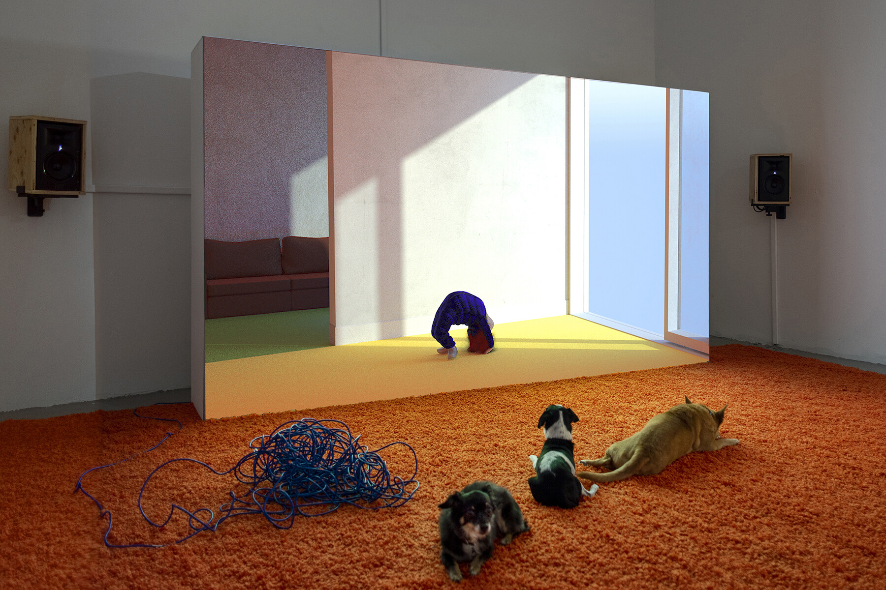 Bard mfa thesis show picture