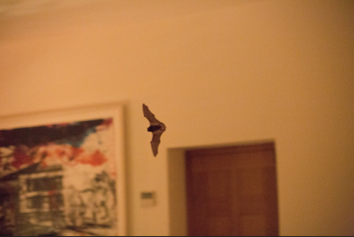 e-flux Felicity D. Scott, “An Eye Half Open Only to Architecture”
