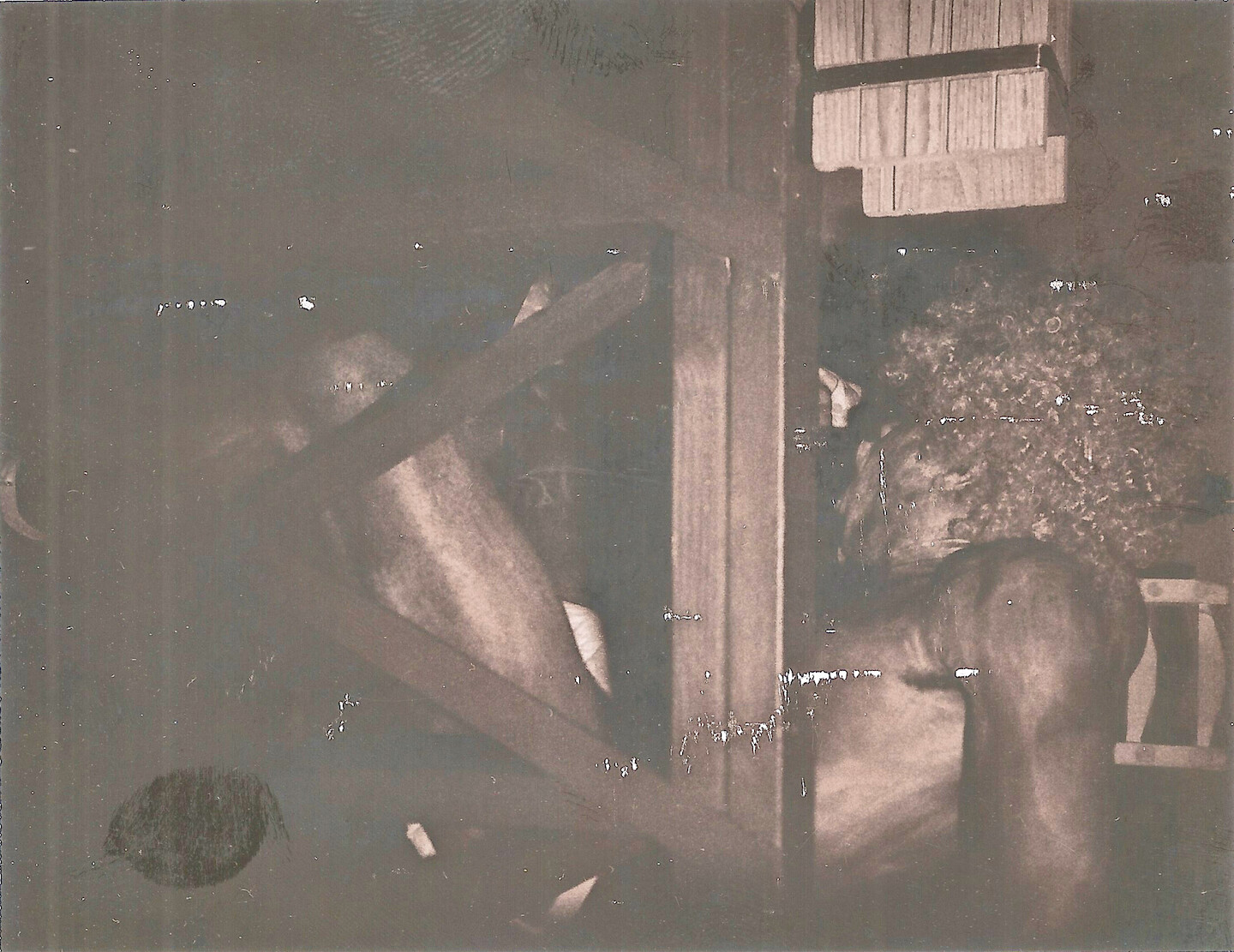 e-flux Screening Room - Thomas Allen Harris: Screening and Conversation
