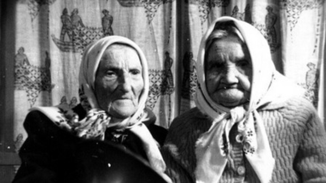 Bar Laika by e-flux Robertas Verba:&nbsp;<em><em>The Dreams of the Centenarians</em></em>
