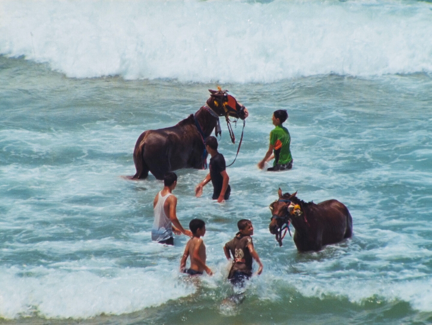 e-flux Screening Room - In the Quiet Moments: Films by Rosalind Nashashibi
