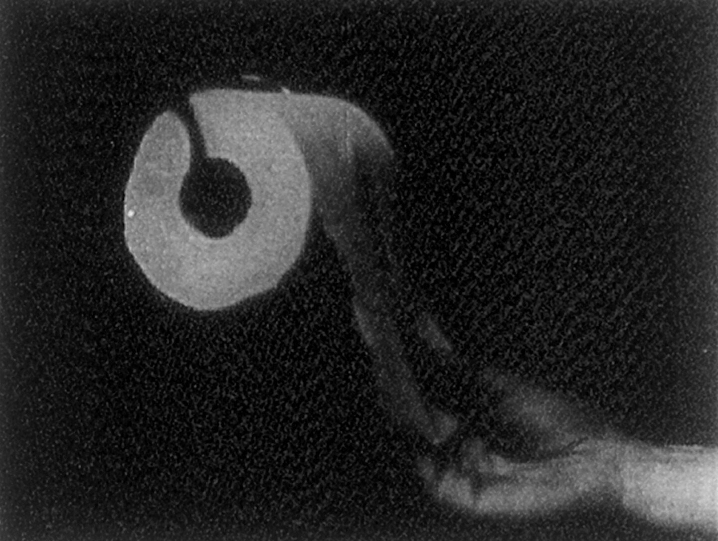 e-flux Screening Room - Fluxfilm
