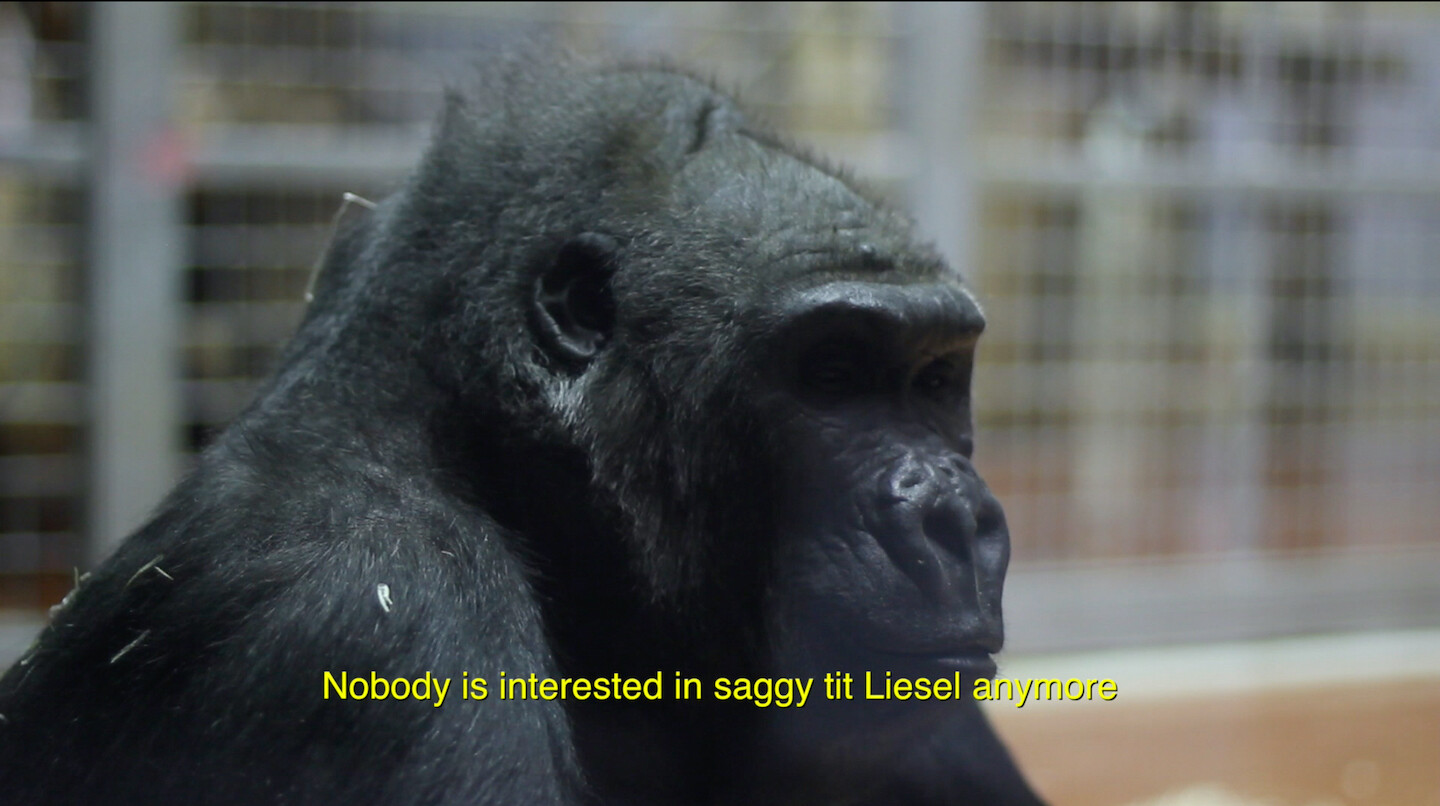 Liesel Burisch, Gorilla Milk Video & Film eflux