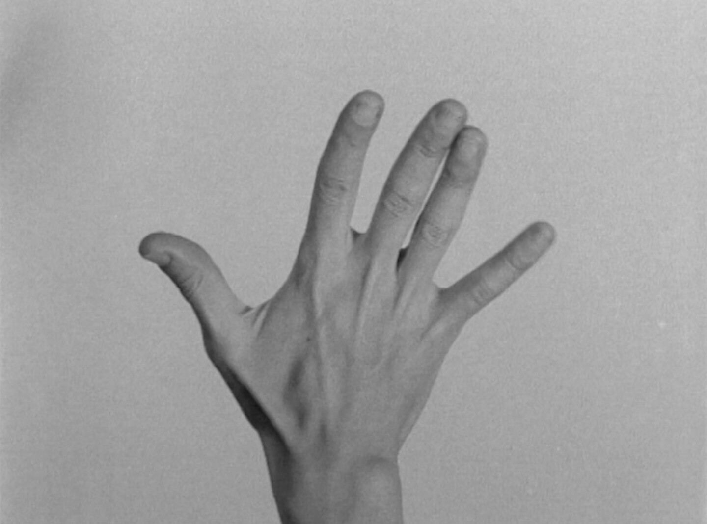 Yvonne Rainer. May 2025 edition of Staff Picks.