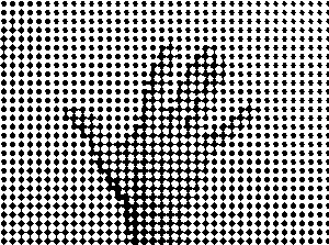 Yvonne Rainer. May 2025 edition of Staff Picks.