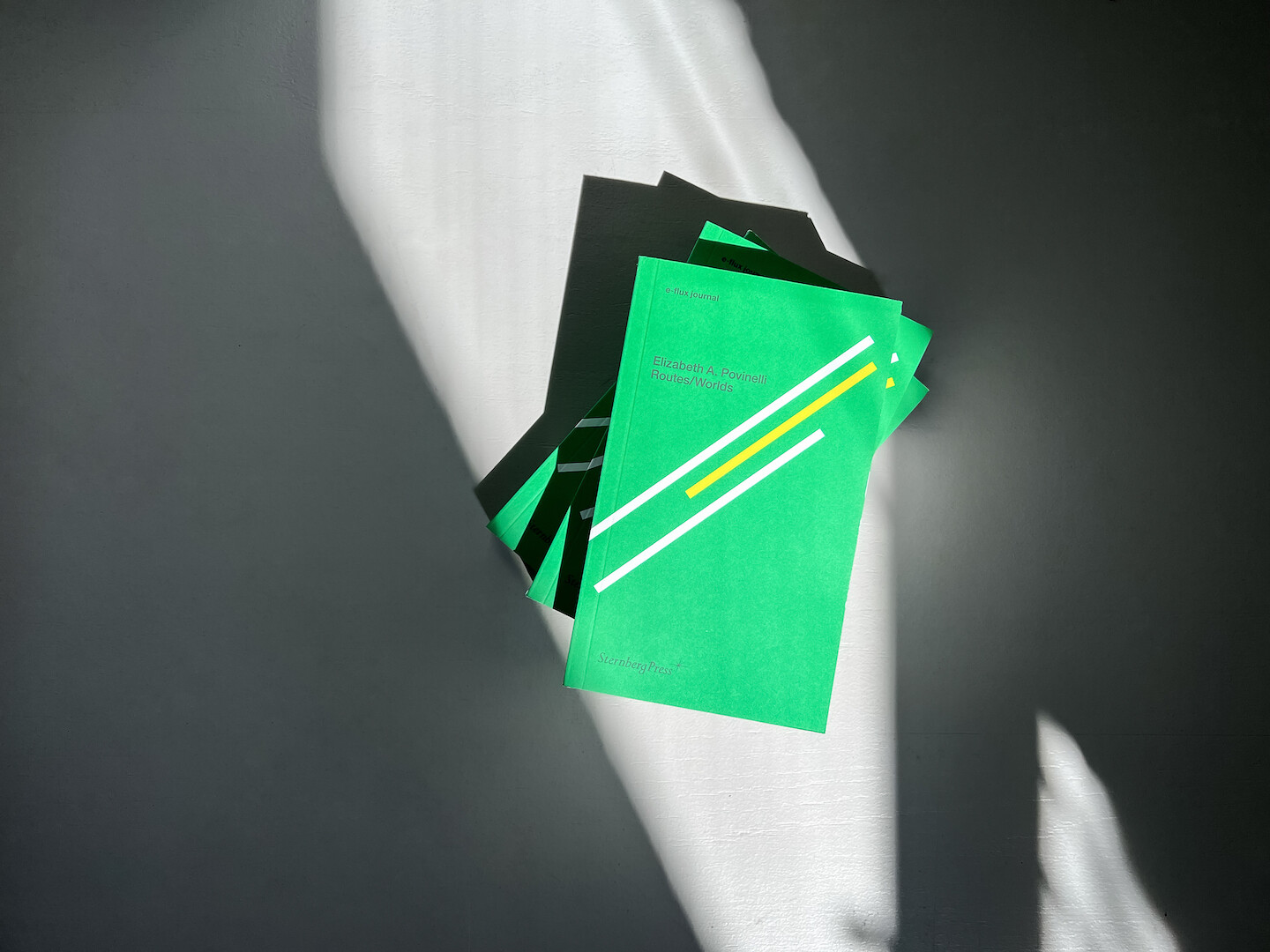 e-flux Book launch: Elizabeth A. Povinelli,&nbsp;<em>Routes/Worlds</em>
