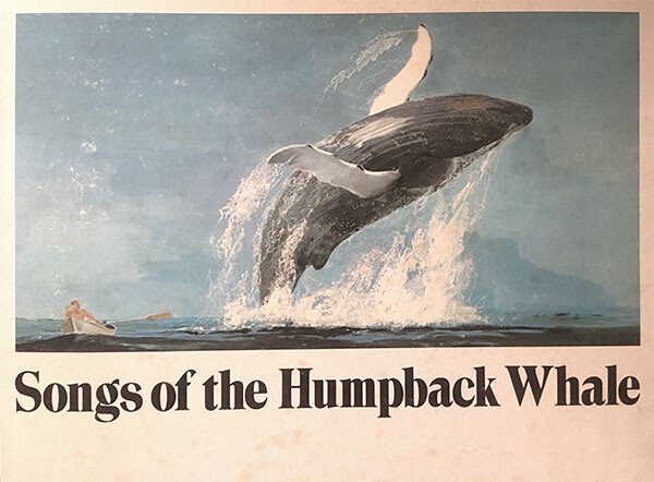 Minor Listening, Major Influence: Revisiting Songs of the Humpback