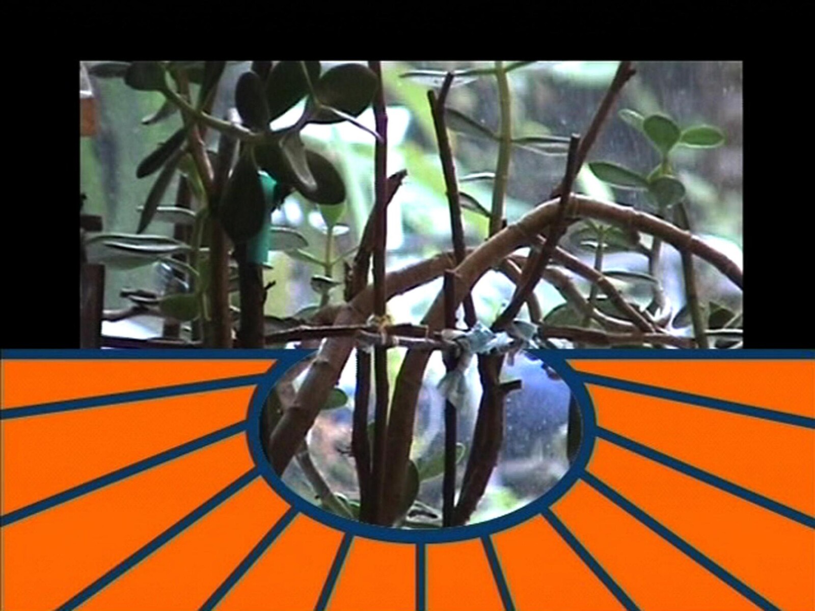 Bar Laika by e-flux Lawrence Weiner’s moving-image works, introduced by Molly Nesbit
