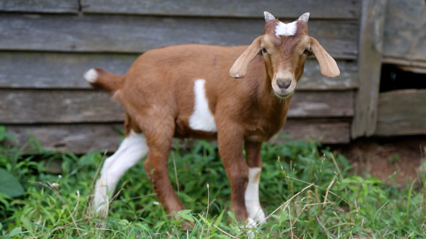 e-flux Screening Room - Erin Johnson: Selected&nbsp;Films

&nbsp;
