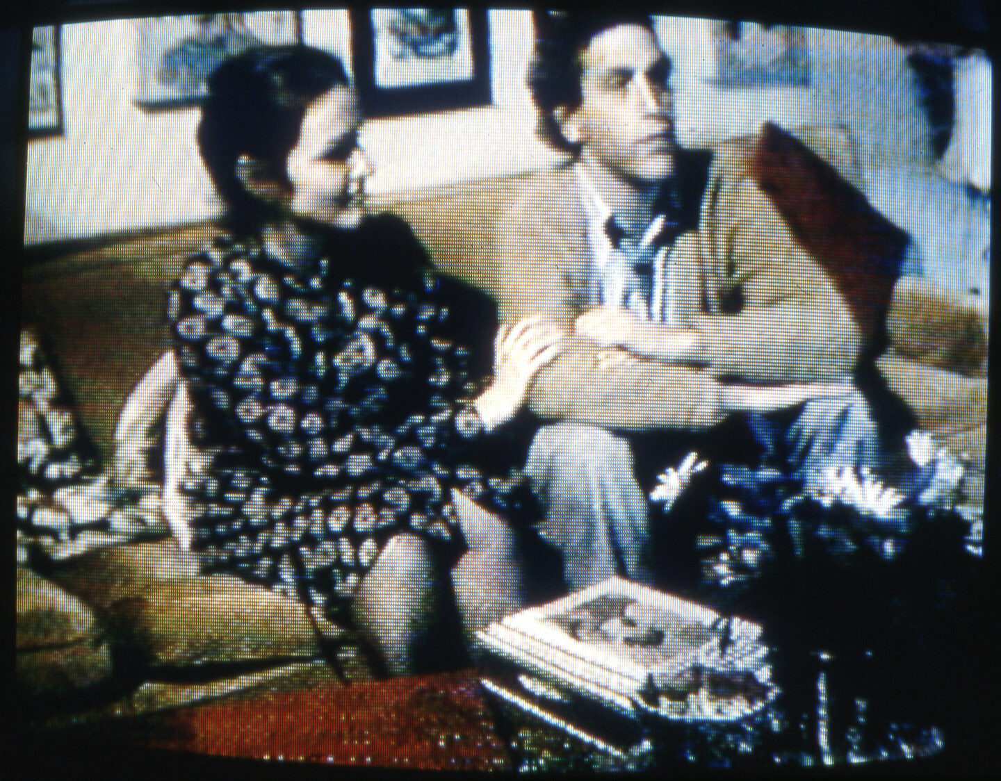 e-flux Screening Room - Domination and the Everyday: Videos and Films by Martha Rosler – ​Part I
