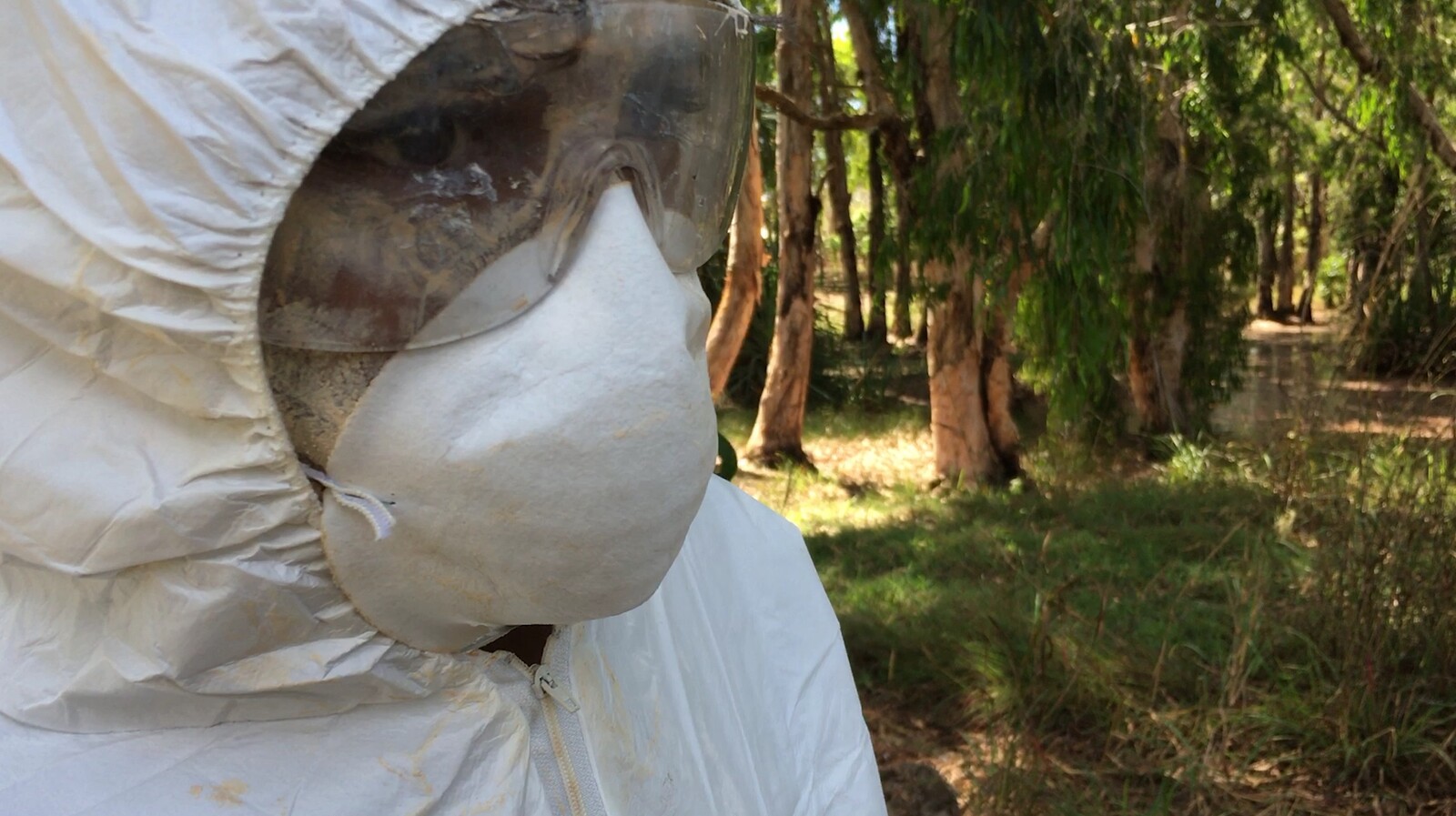 Bar Laika by e-flux Karrabing Film Collective,&nbsp;<em>The Mermaids, Or Aiden In Wonderland</em><br />
With Elizabeth A. Povinelli
