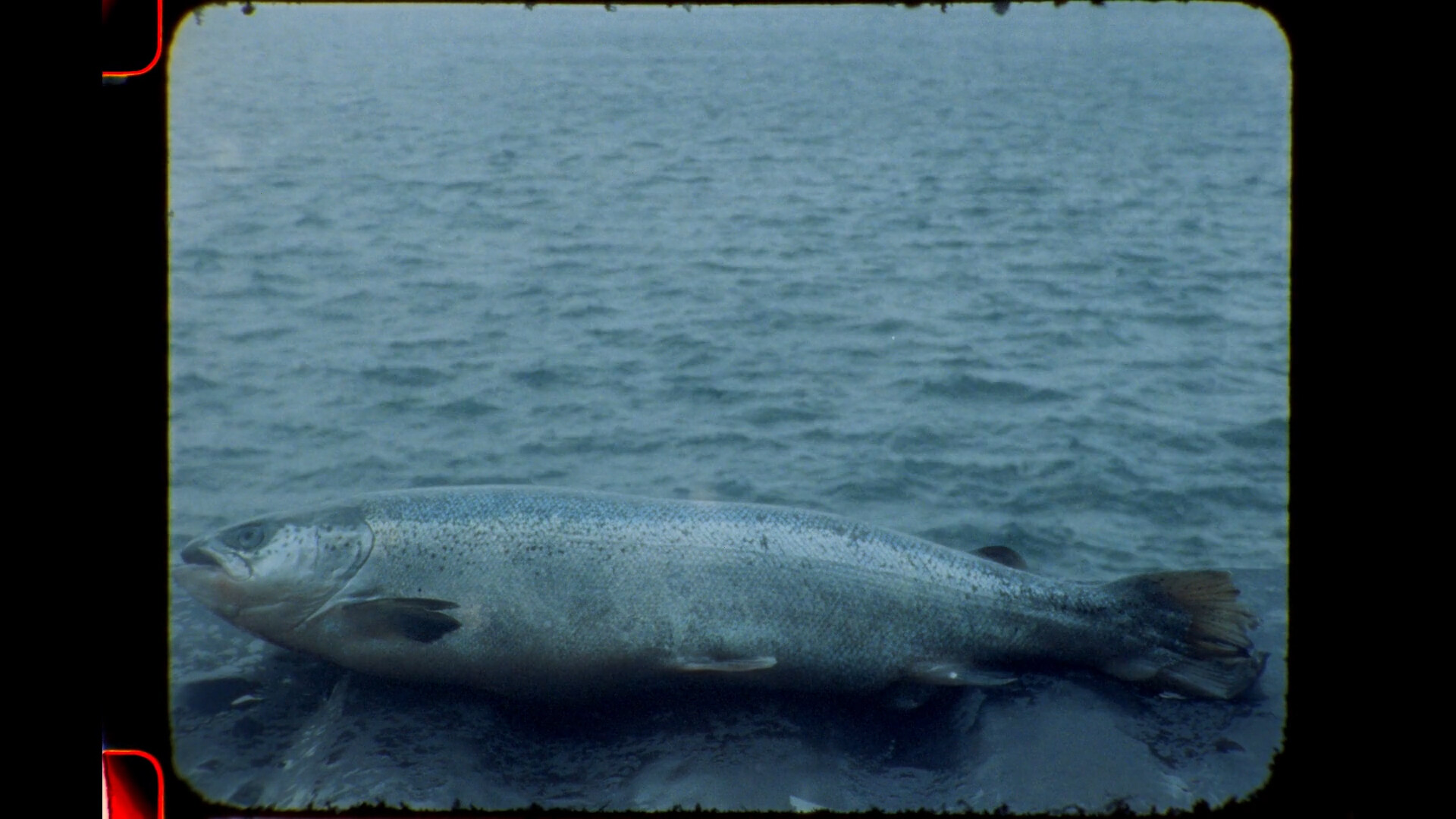 Revaluing the Oceans - Architecture - e-flux Revaluing the Oceans - Architecture - e-flux