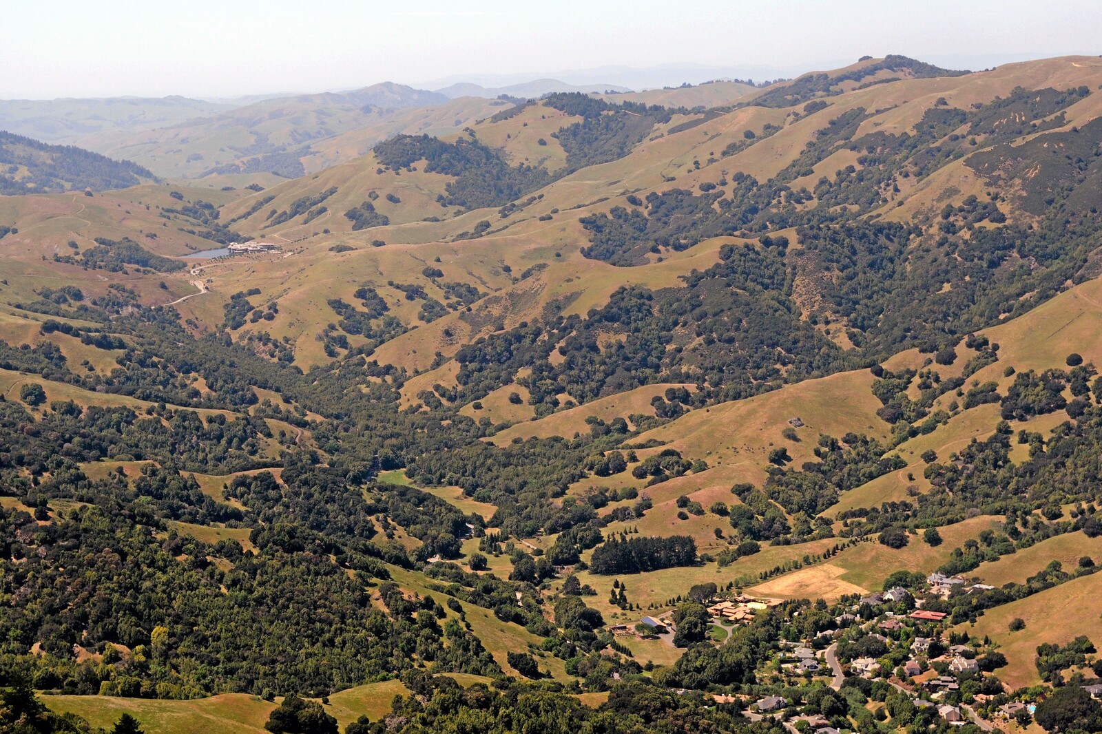 Housing - Adrian Daub - Standoff at Grady Ranch