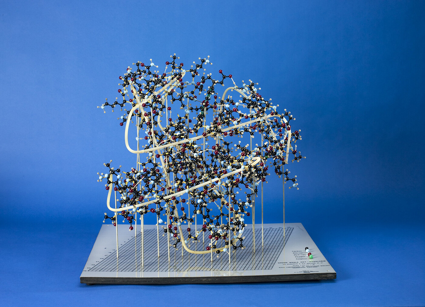 University of Oxford Viral Theory: discussion sessions
