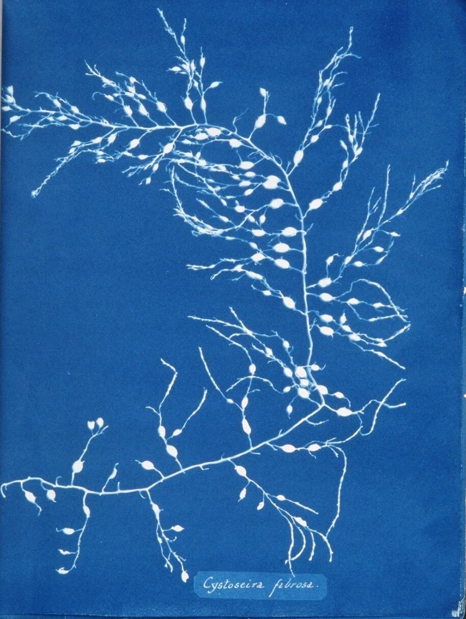 e-flux e-flux lectures:&nbsp;Nathan K. Hensley, "A Poetics of Action: Althusser, Brontë, Rossetti"
