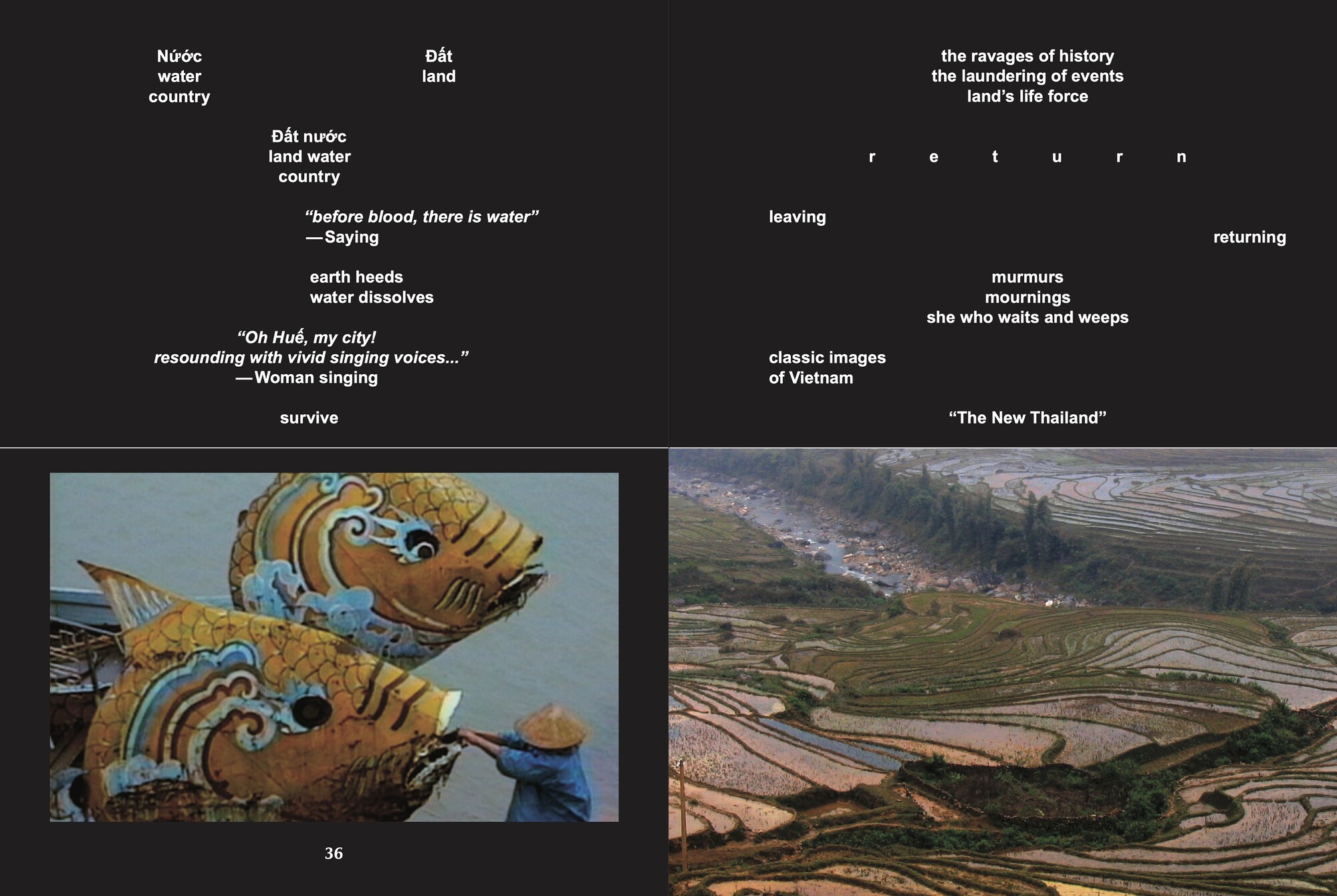 Patrick J. Reed on Trinh T. Minh-ha - Criticism - Vimarsana News
