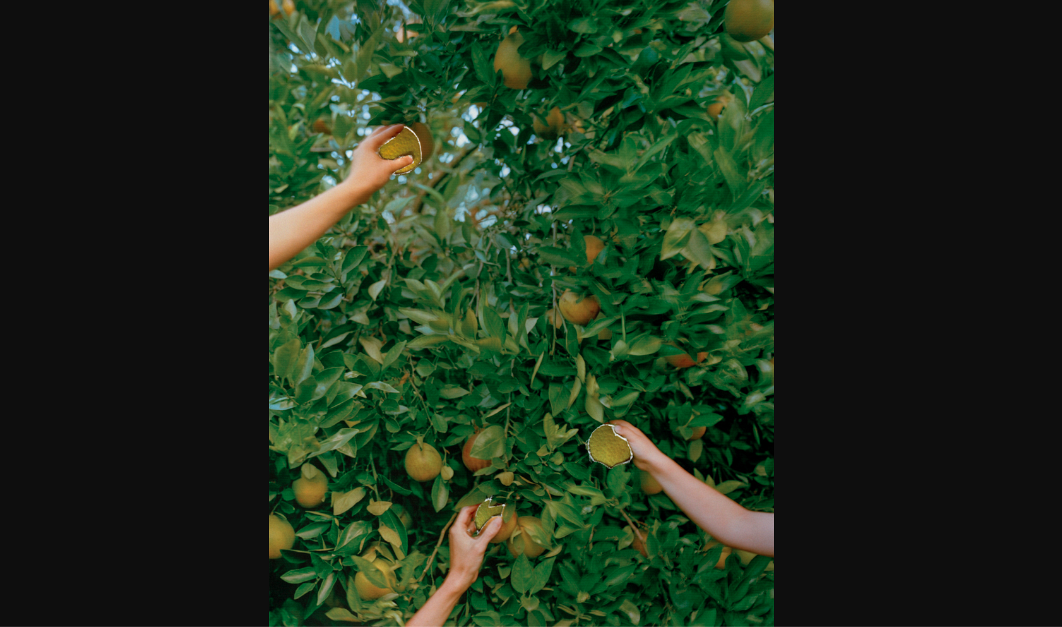 SCAD alumni artists at Photo London - e-flux Education - Vimarsana News
