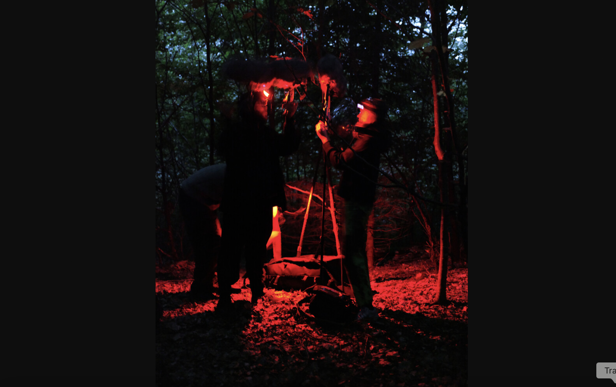 Sonic Investigations: curators’ tour