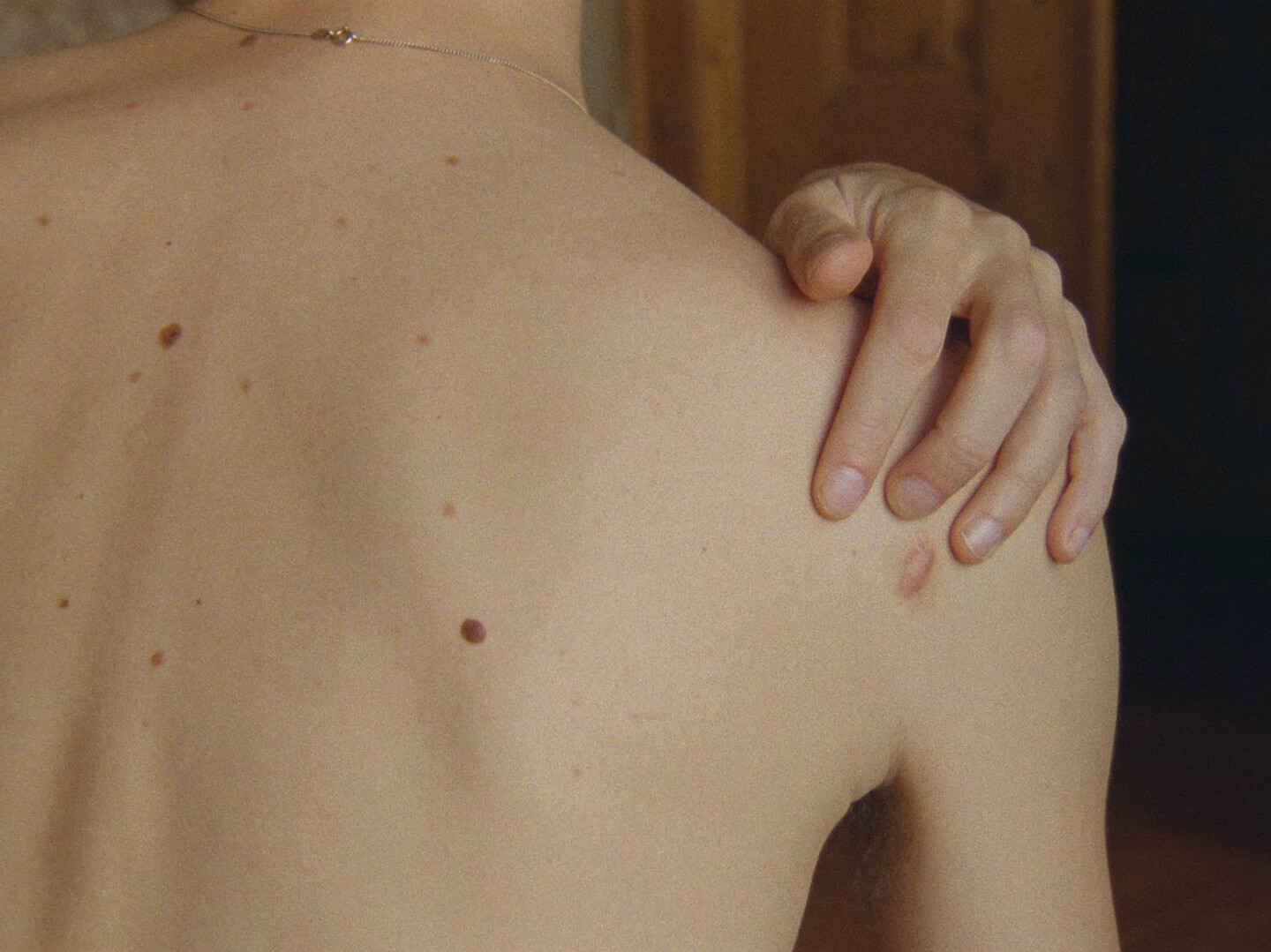 e-flux Screening Room - Three works by&nbsp;Pedro Neves Marques
