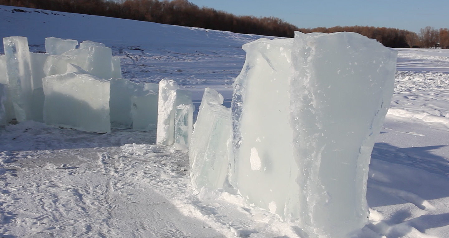 e-flux Screening Room - Mutations
