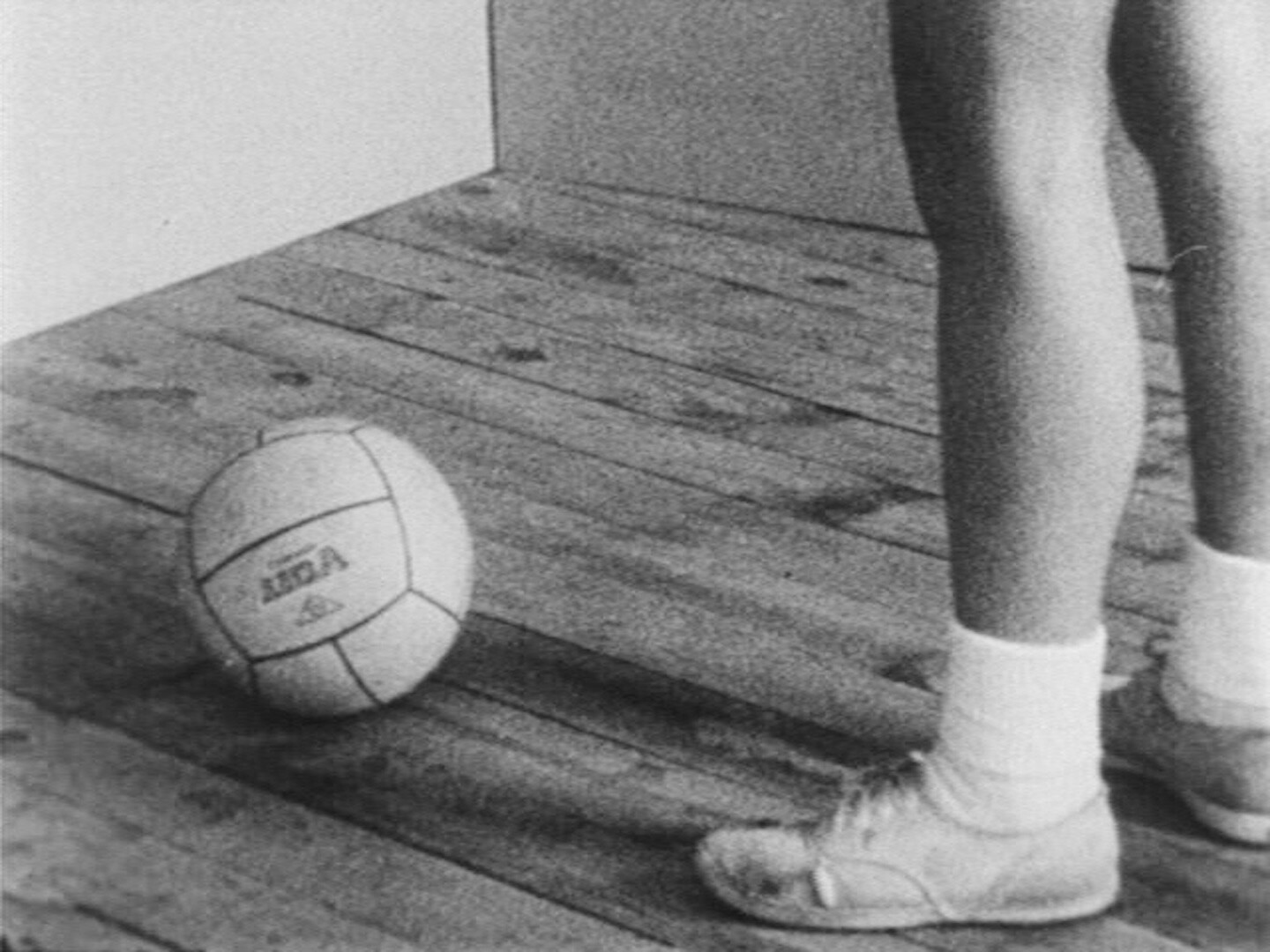 Yvonne Rainer. May 2025 edition of Staff Picks.