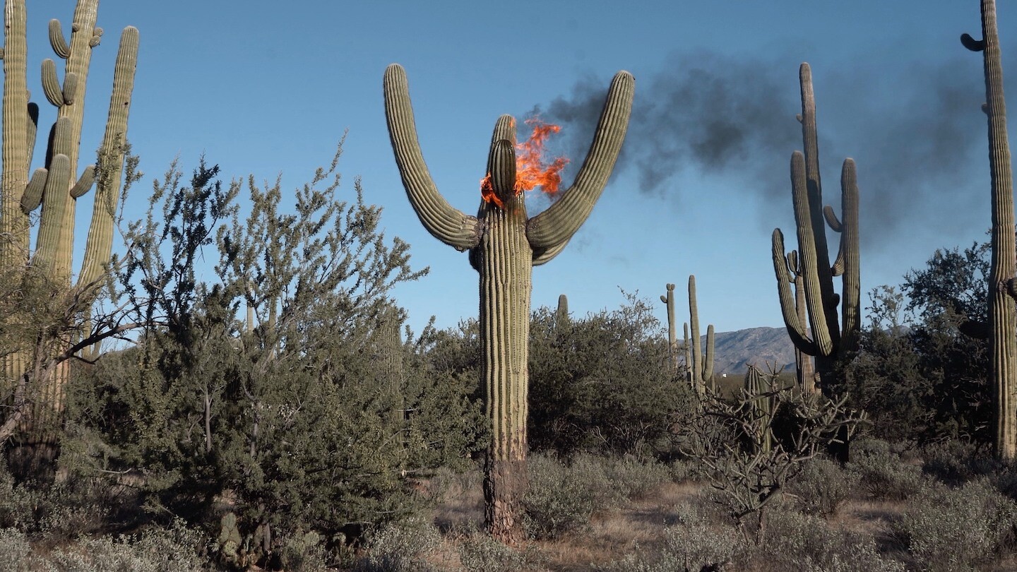 Bar Laika by e-flux Miguel Fernández de Castro,&nbsp;<em>A Grammar of Gates</em>

&nbsp;
